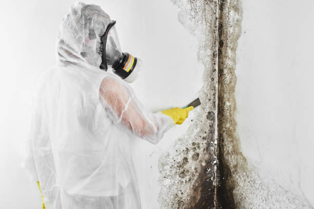 Best Residential Mold Removal  in Luther, OK
