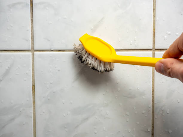 Mold Removal and Inspection in Luther, OK