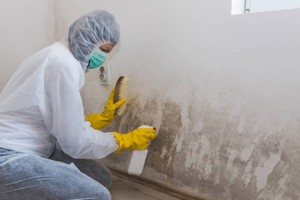Water Damage Restoration in Luther, OK