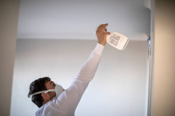 Attic Mold Removal in Luther, OK