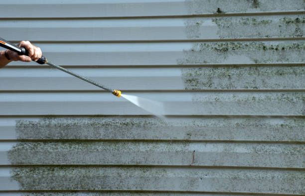 Best Mold Damage Repair  in Luther, OK