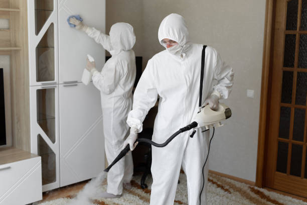 Best Black Mold Removal  in Luther, OK