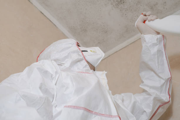Best Mold Remediation Services  in Luther, OK