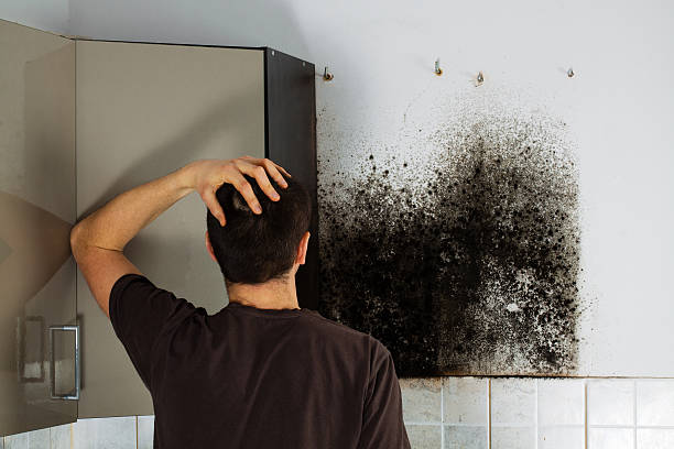 Best Mold Removal Process  in Luther, OK